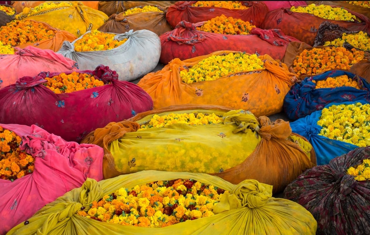 Concierge Jaipur gallery image